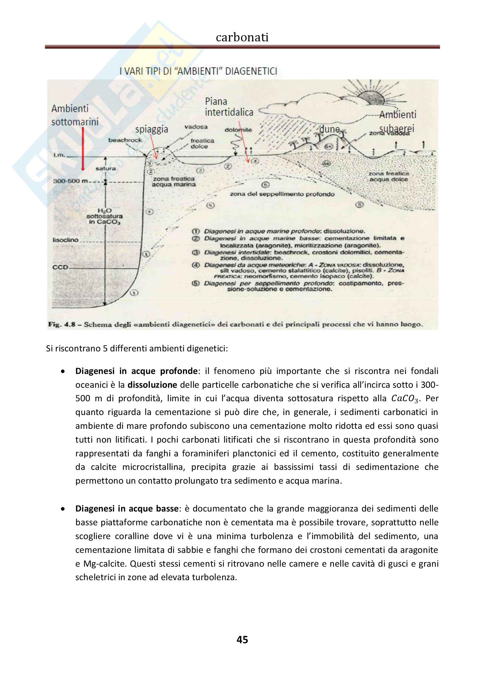 Geologia del sedimentario Pag. 46