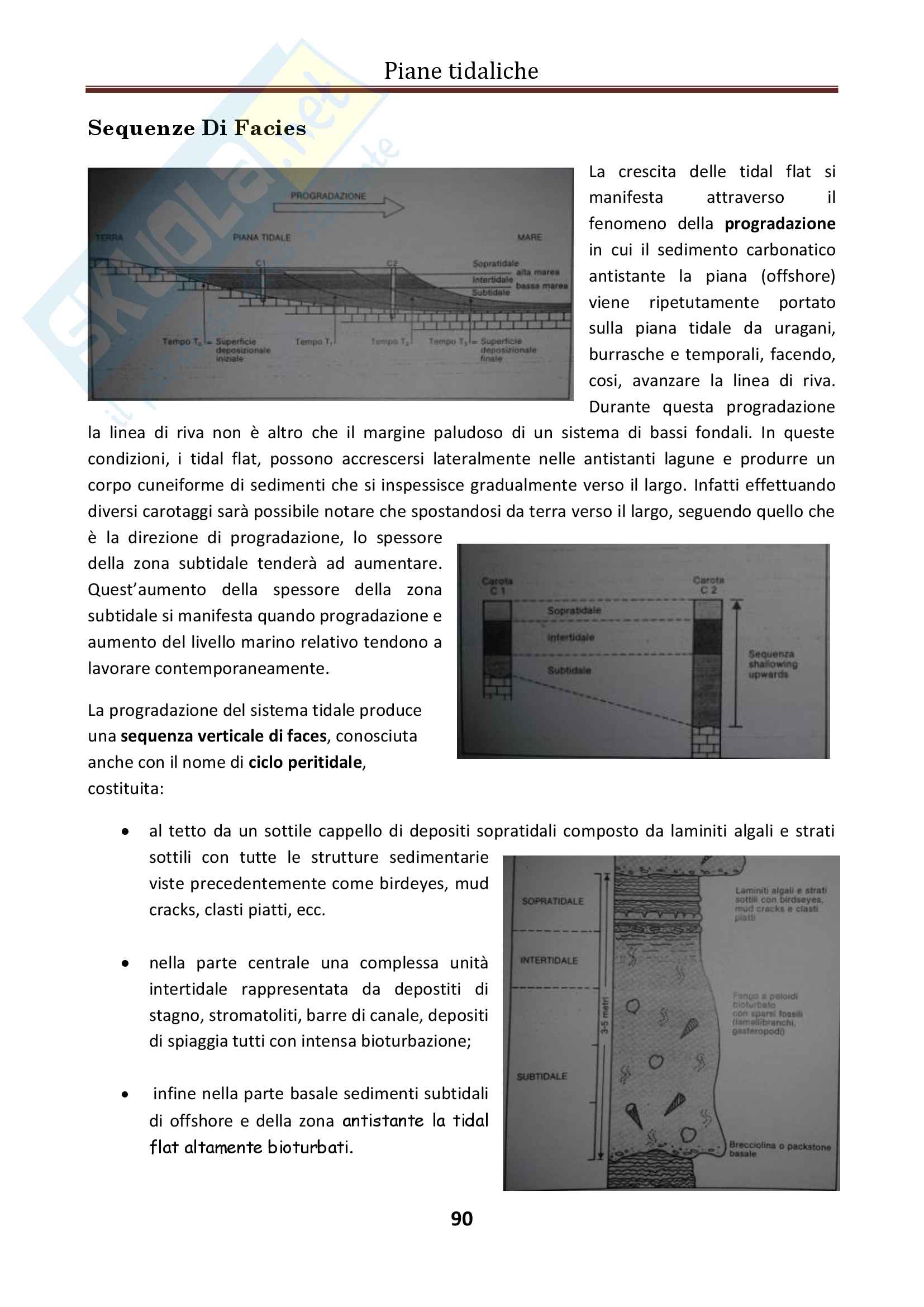 Geologia del sedimentario Pag. 91