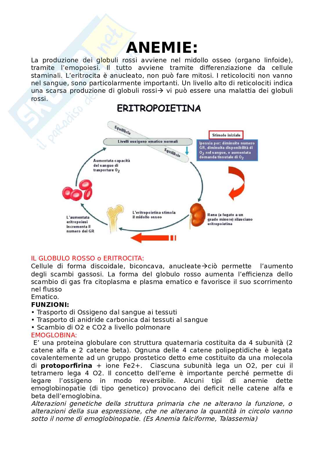 Anemia Medicina generale Pag. 1
