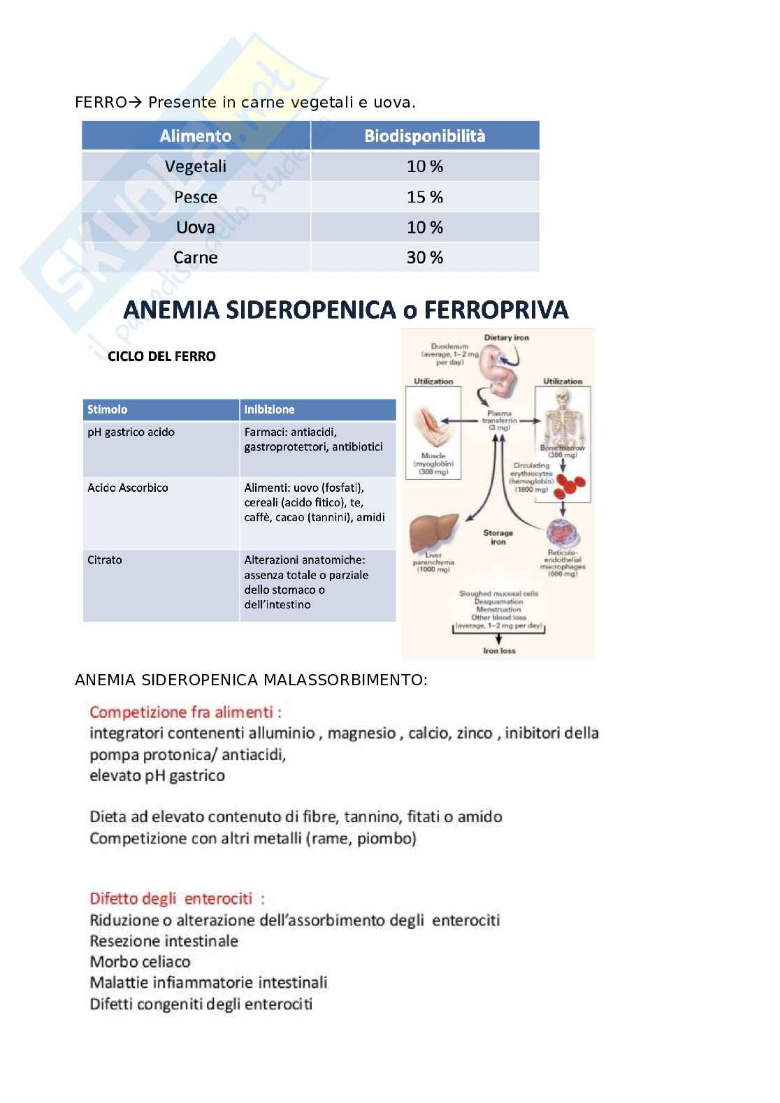 Anemia Medicina generale Pag. 11