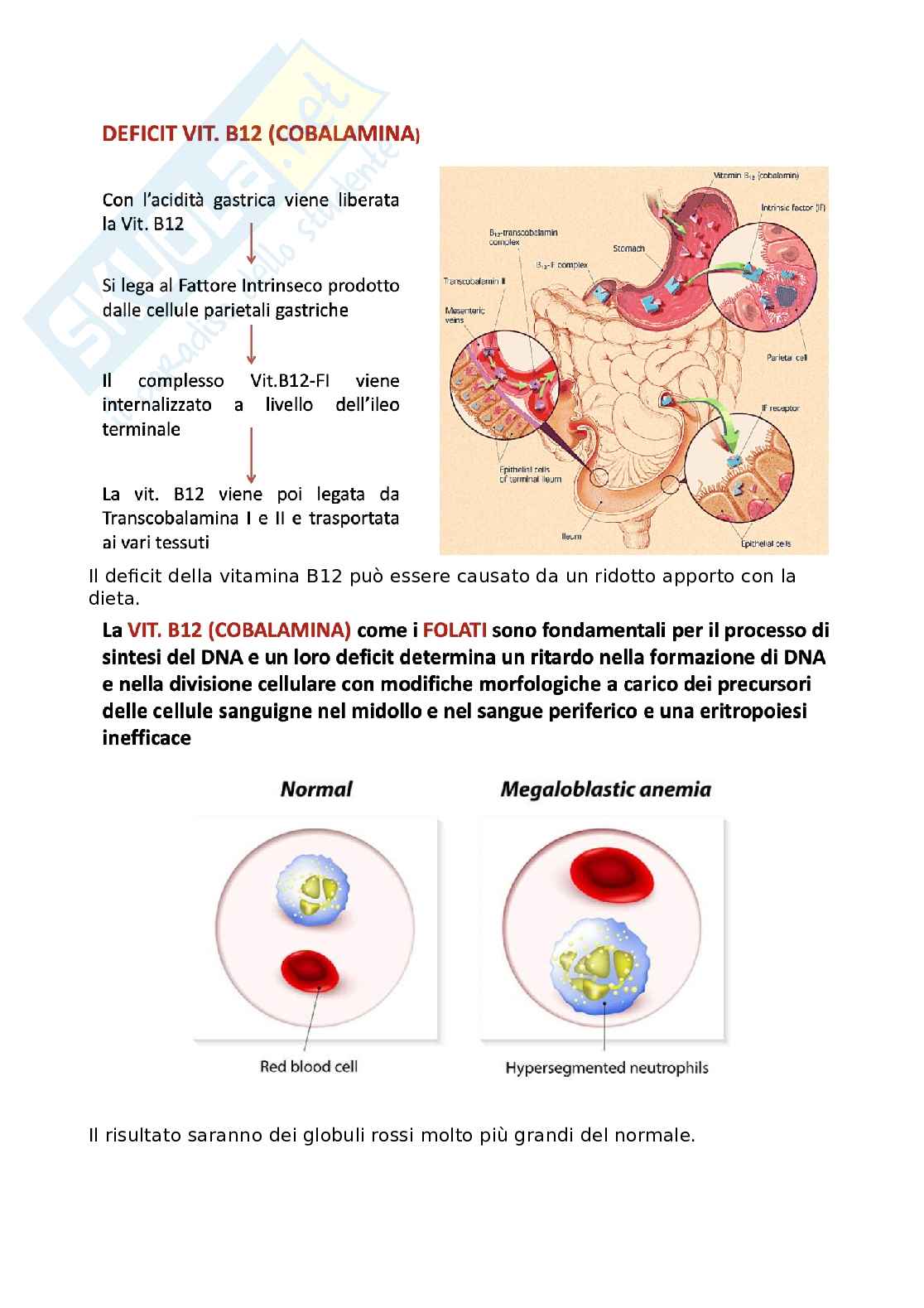 Anemia Medicina generale Pag. 16