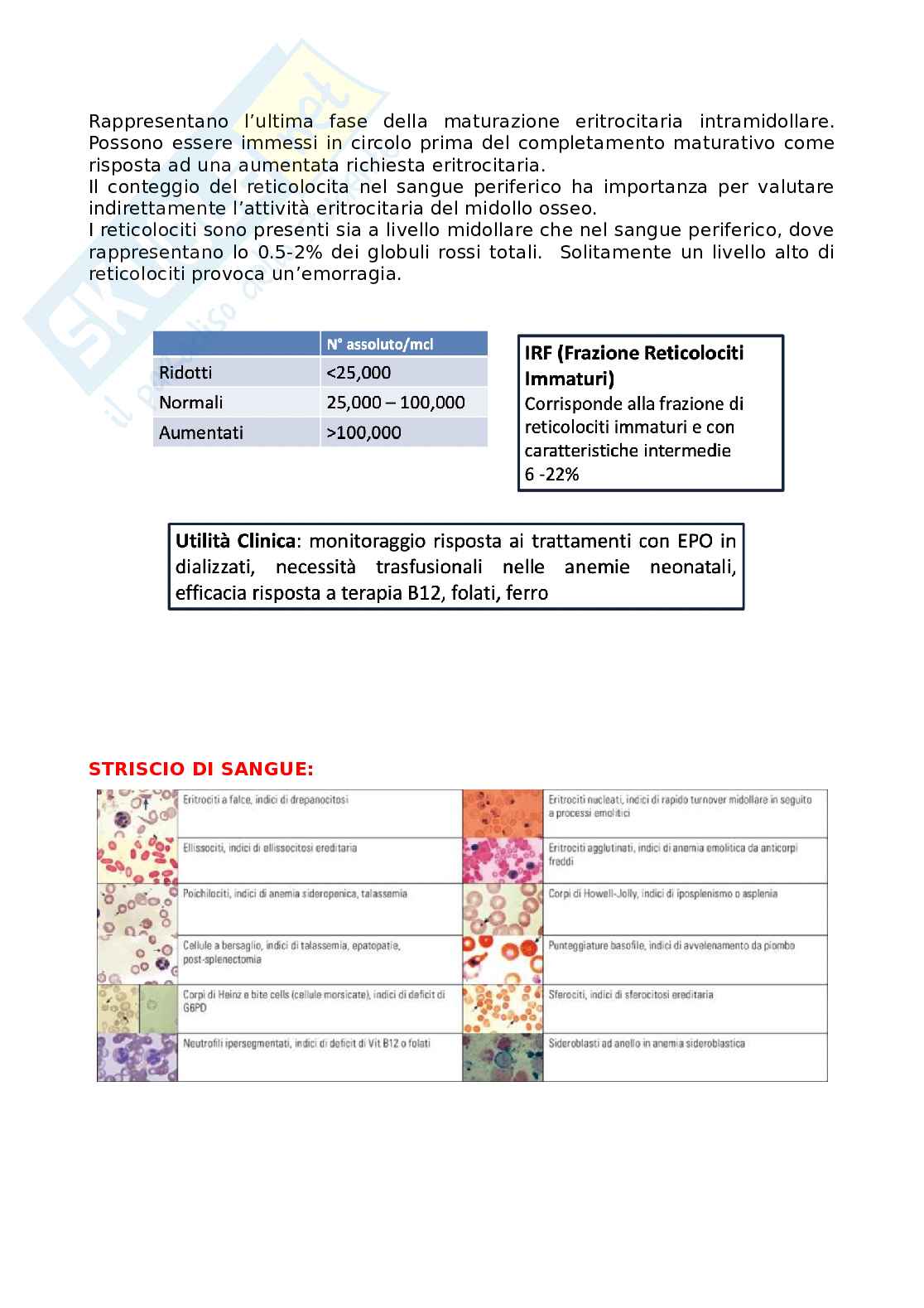 Anemia Medicina generale Pag. 6