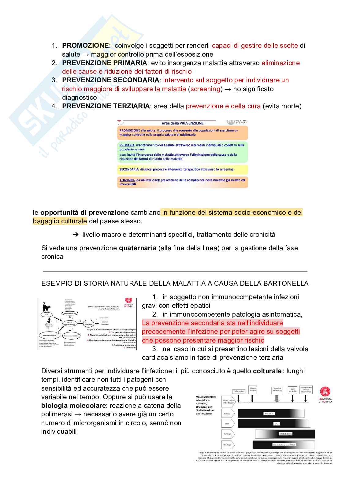TLS (Tecnologia e Legislazione sanitaria) Pag. 11