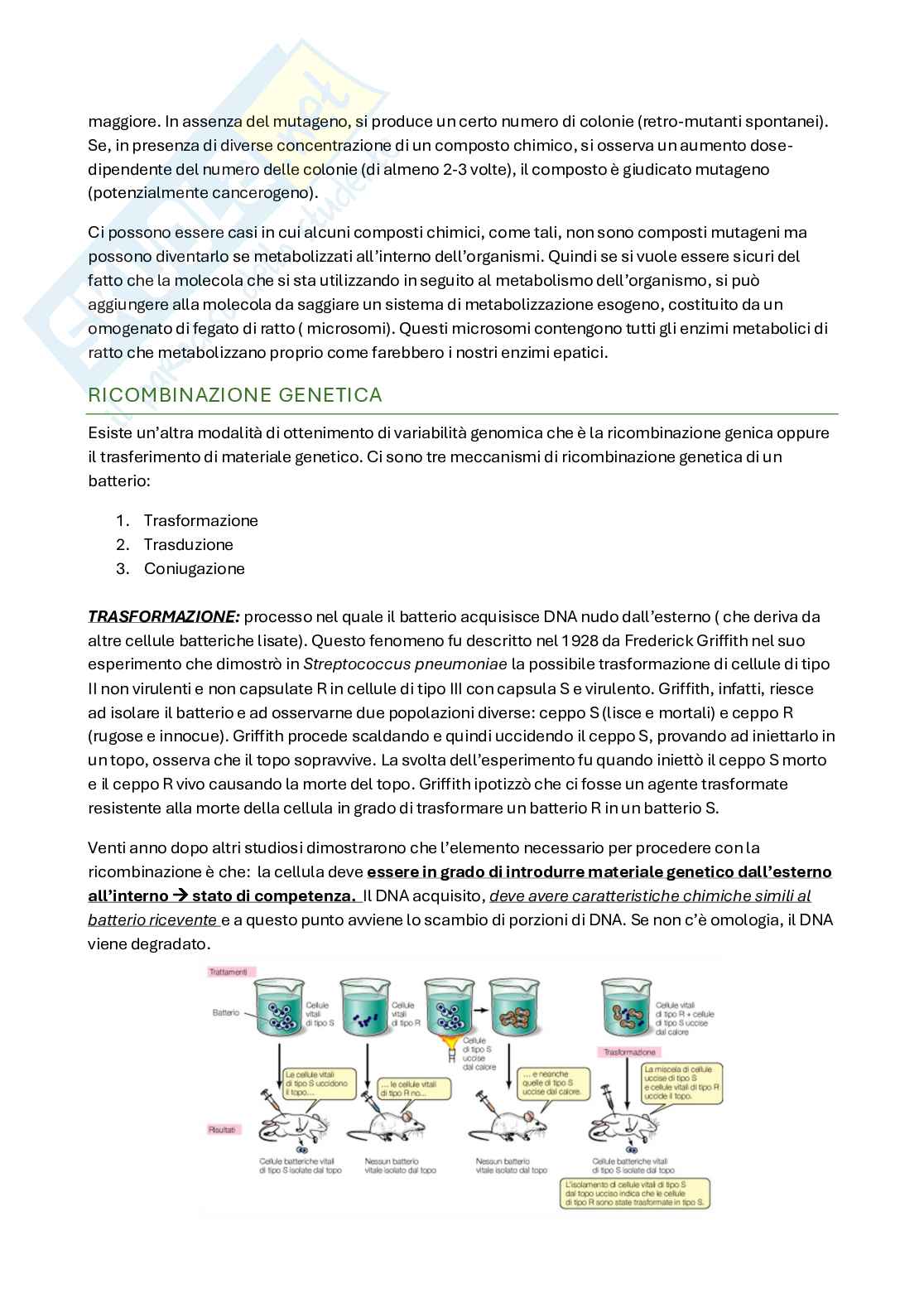 Riassunto esame Microbiologia, Prof. Conti Stefania, libro consigliato Microbiologia farmaceutica , Carlone, Pompei, Tullio Pag. 31