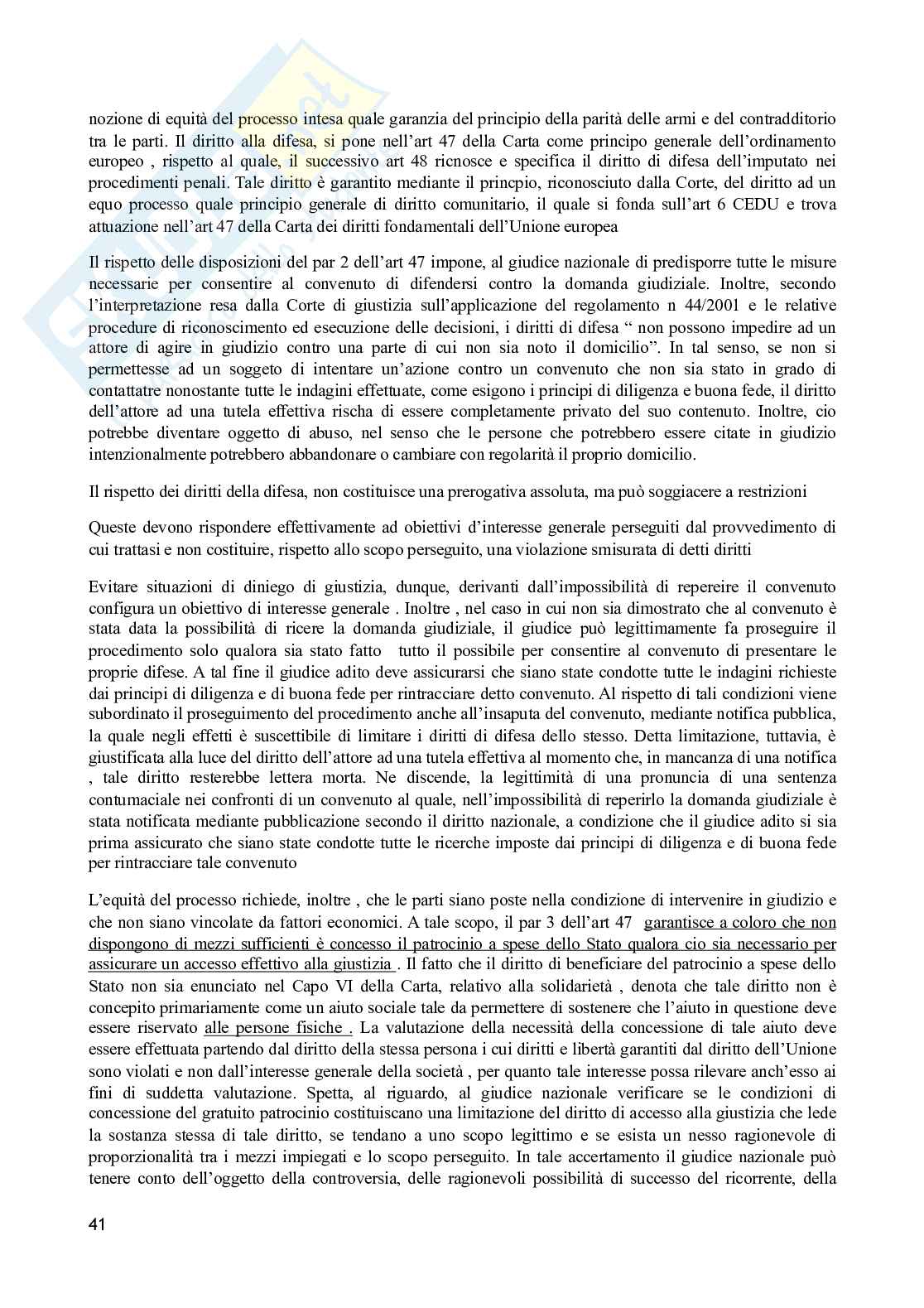 Diritto dell’Unione Europea  Pag. 41