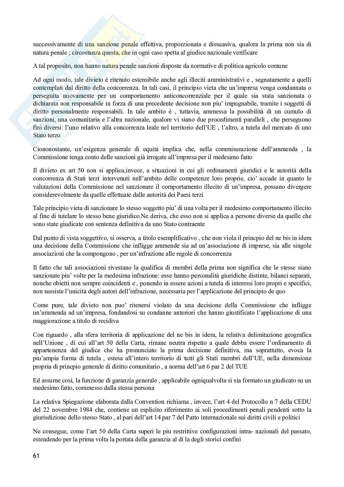Diritto dell’Unione Europea  Pag. 61