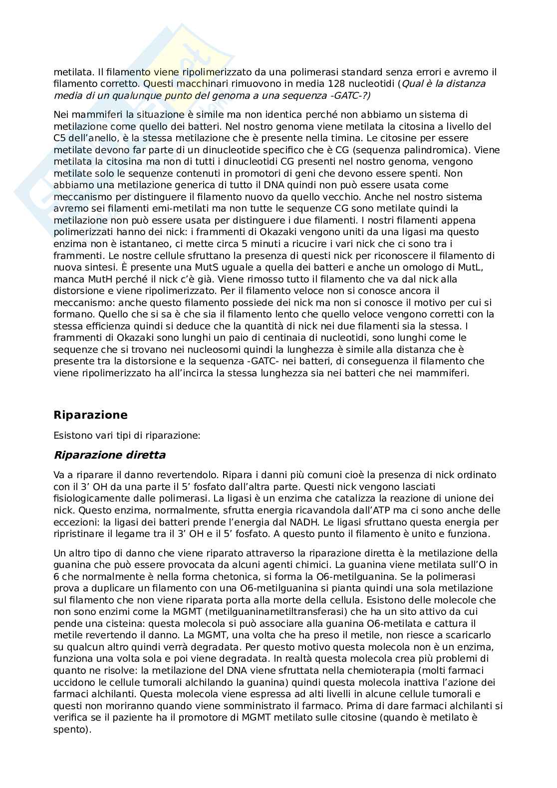 Appunti Biologia Molecolare Pag. 11