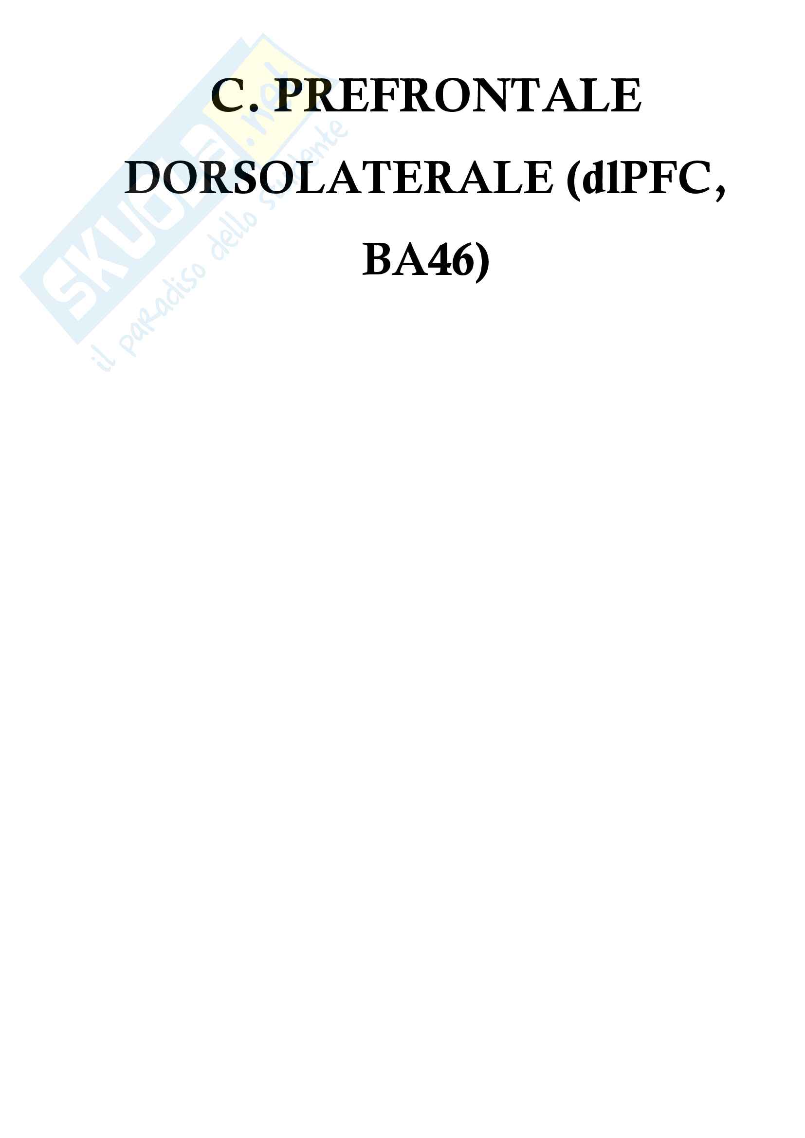 Lobo frontale, cortecce prefrontale dorsolaterale, cingolata anteriore e orbitofrontale Pag. 6