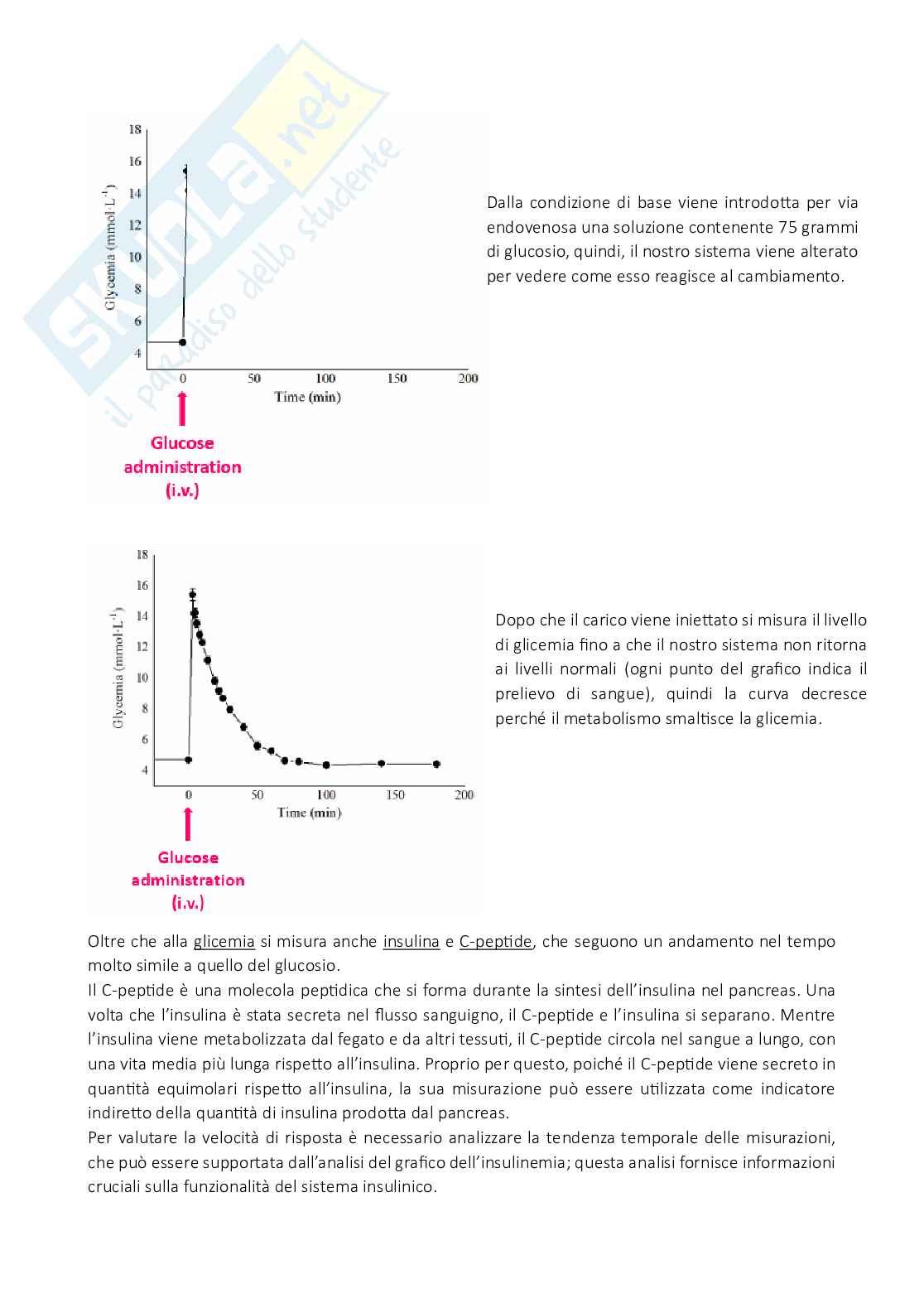 Appunti di Informatica medica Pag. 11