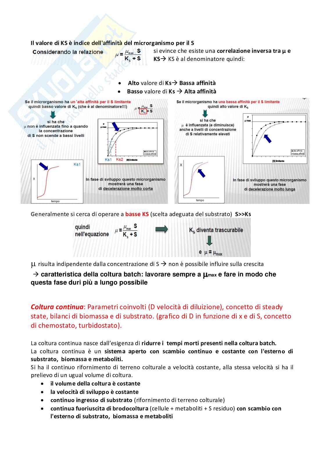 Domande e Risposte per l'esame di Fermentazioni Industriali Pag. 6