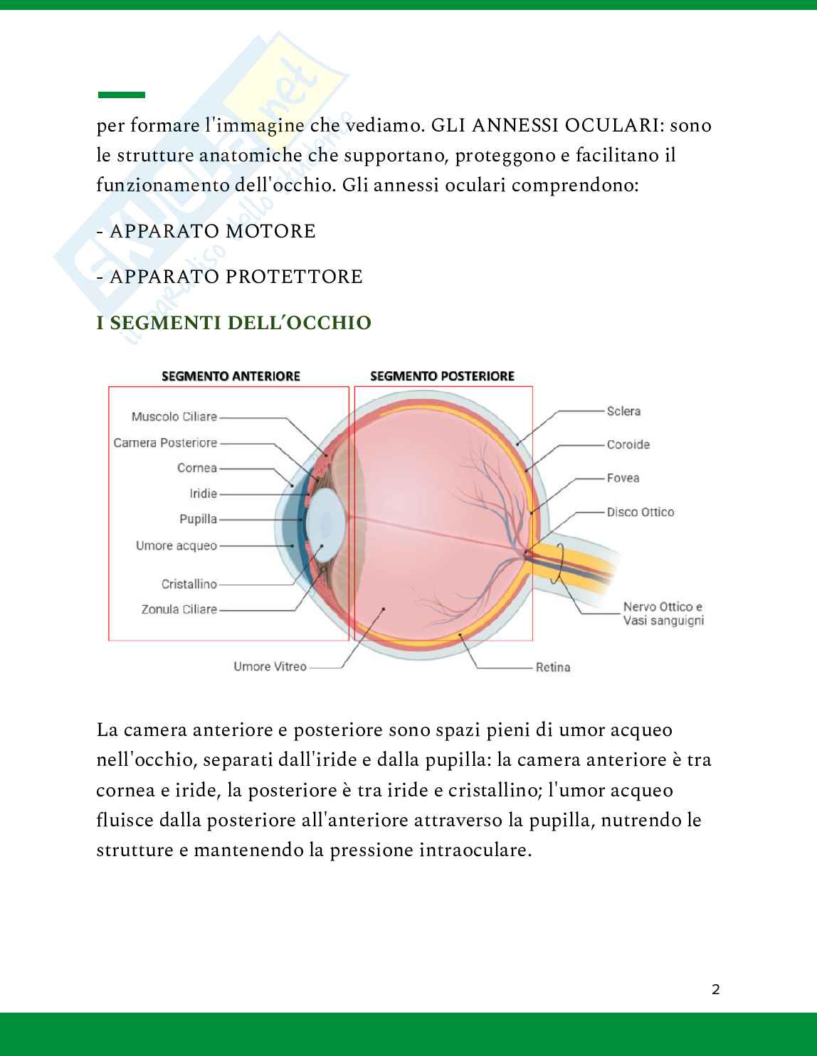 Ipovisione Pag. 2