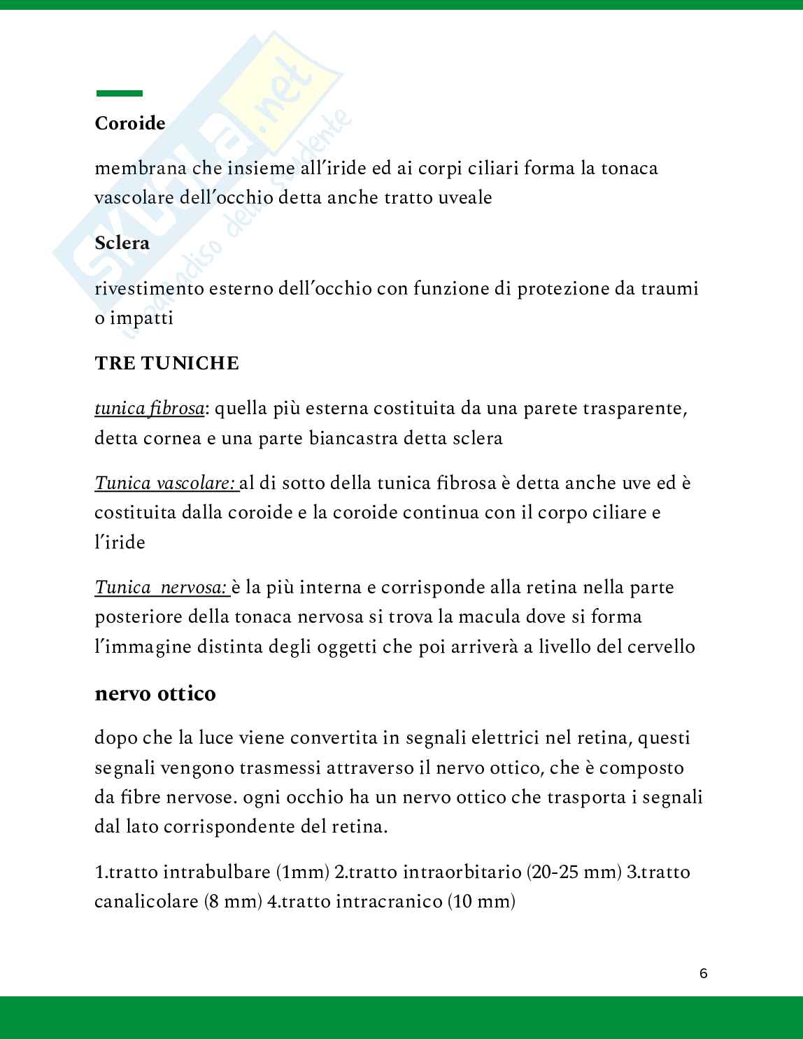 Ipovisione Pag. 6