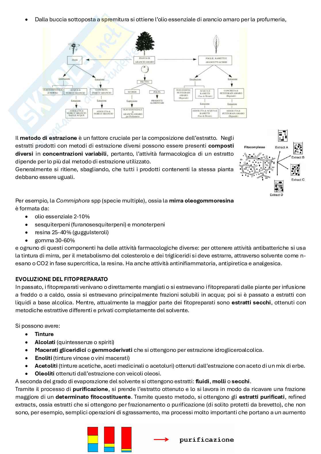 Biologia farmaceutica vegetale Pag. 21