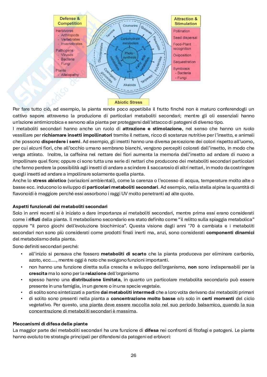 Biologia farmaceutica vegetale Pag. 26