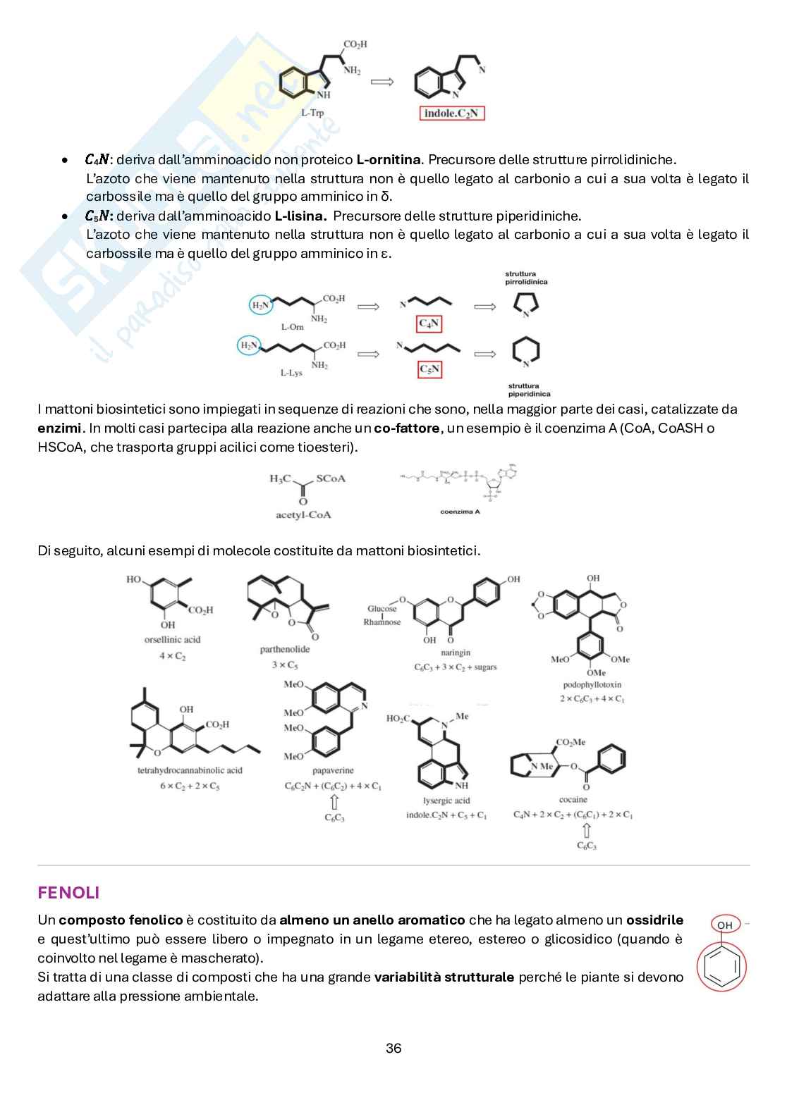 Biologia farmaceutica vegetale Pag. 36