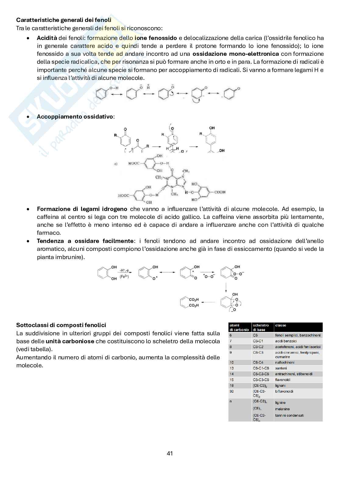 Biologia farmaceutica vegetale Pag. 41