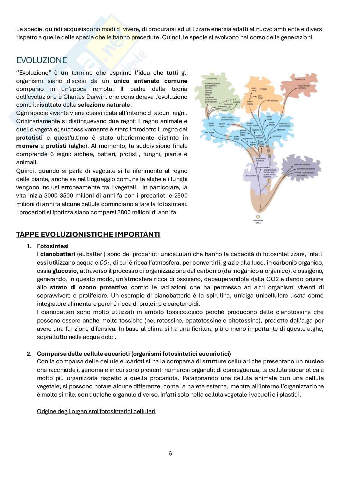 Biologia farmaceutica vegetale Pag. 6