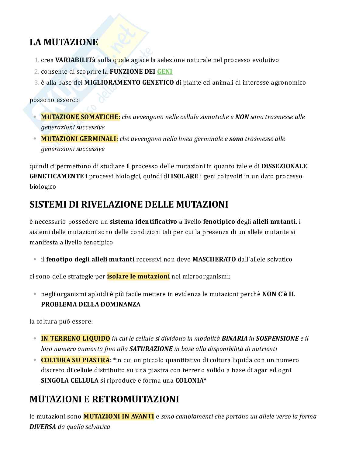 Testo sulle mutazioni per esame Genetica Pag. 1