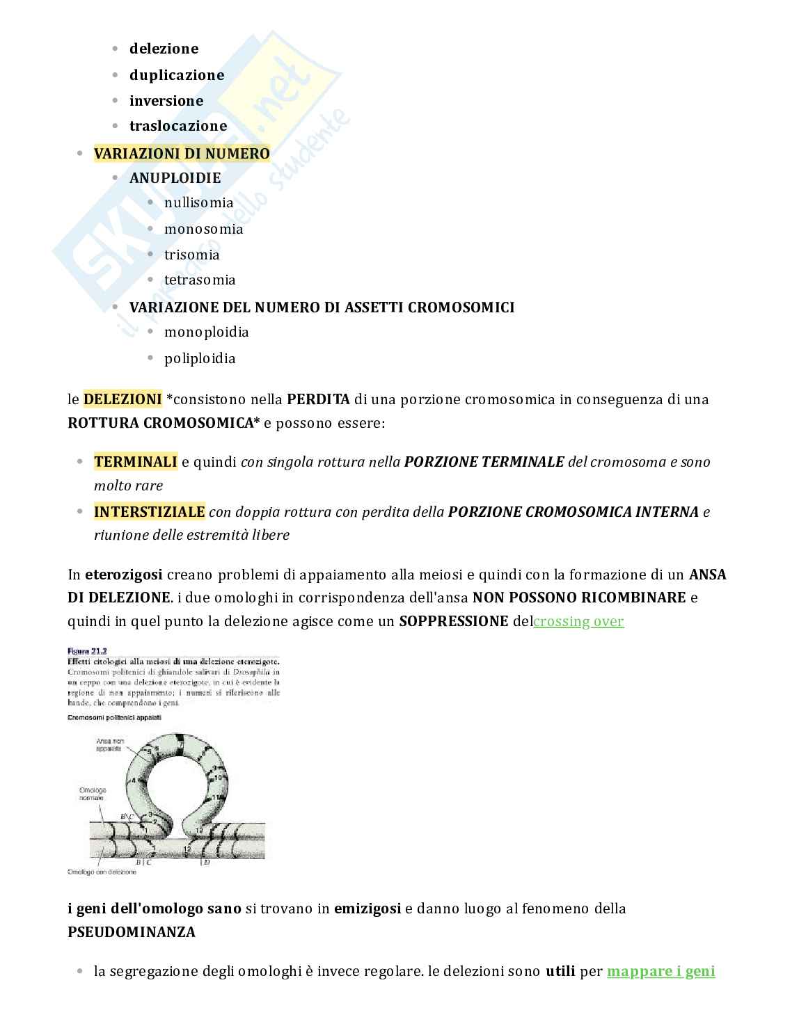 Testo sulle mutazioni per esame Genetica Pag. 11