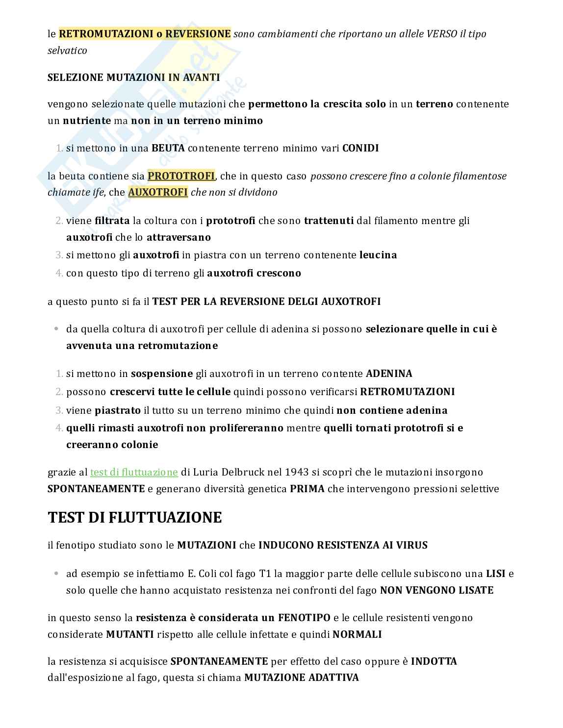 Testo sulle mutazioni per esame Genetica Pag. 2