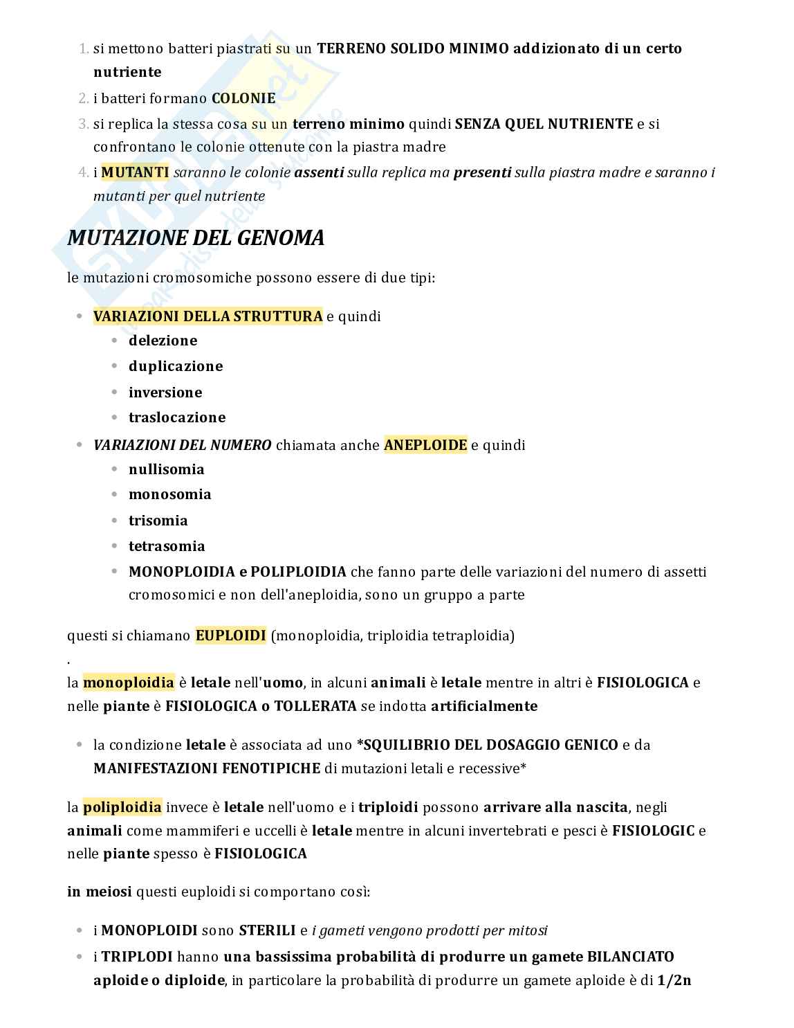 Testo sulle mutazioni per esame Genetica Pag. 6