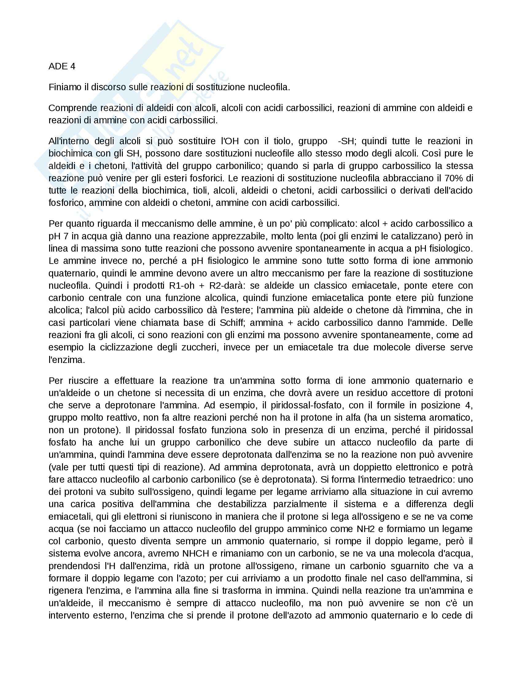 Sostituzione Nucleofila, Carboidrati e Lipidi, Biochimica Pag. 1