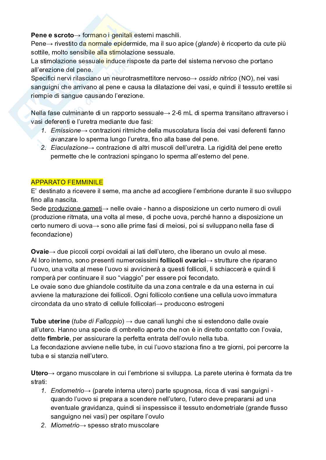 Apparato riproduttore - Descrizione e caratteristiche Pag. 2
