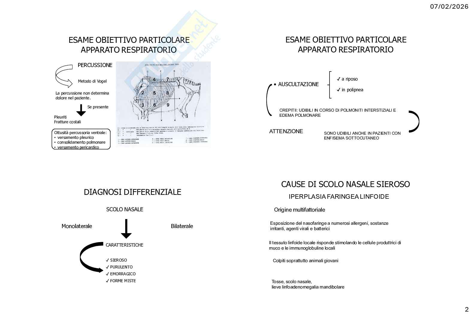 Caso clinico 2 Clinica medica veterinaria Pag. 2