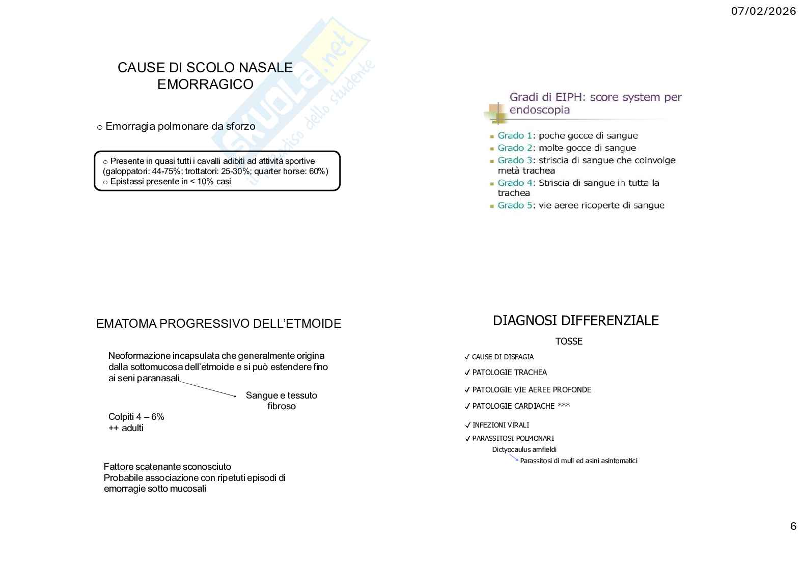 Caso clinico 2 Clinica medica veterinaria Pag. 6