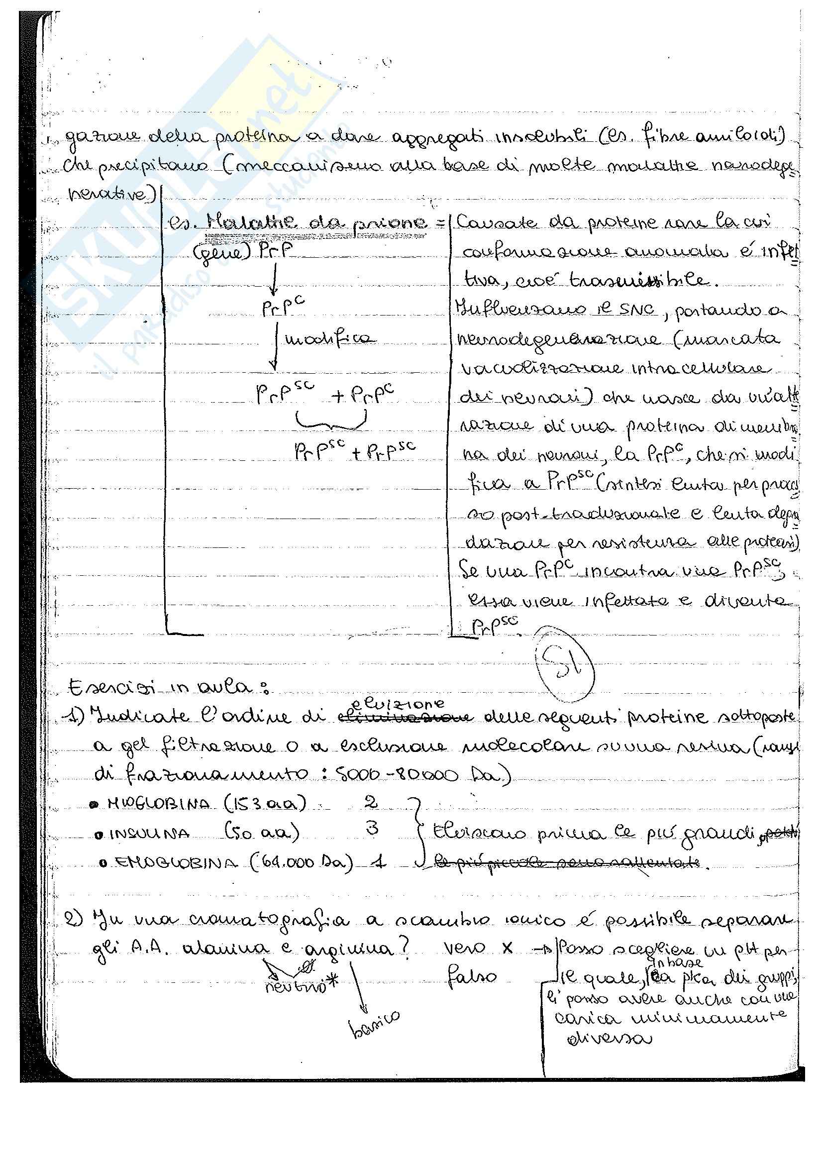 Biologia - Appunti Pag. 66
