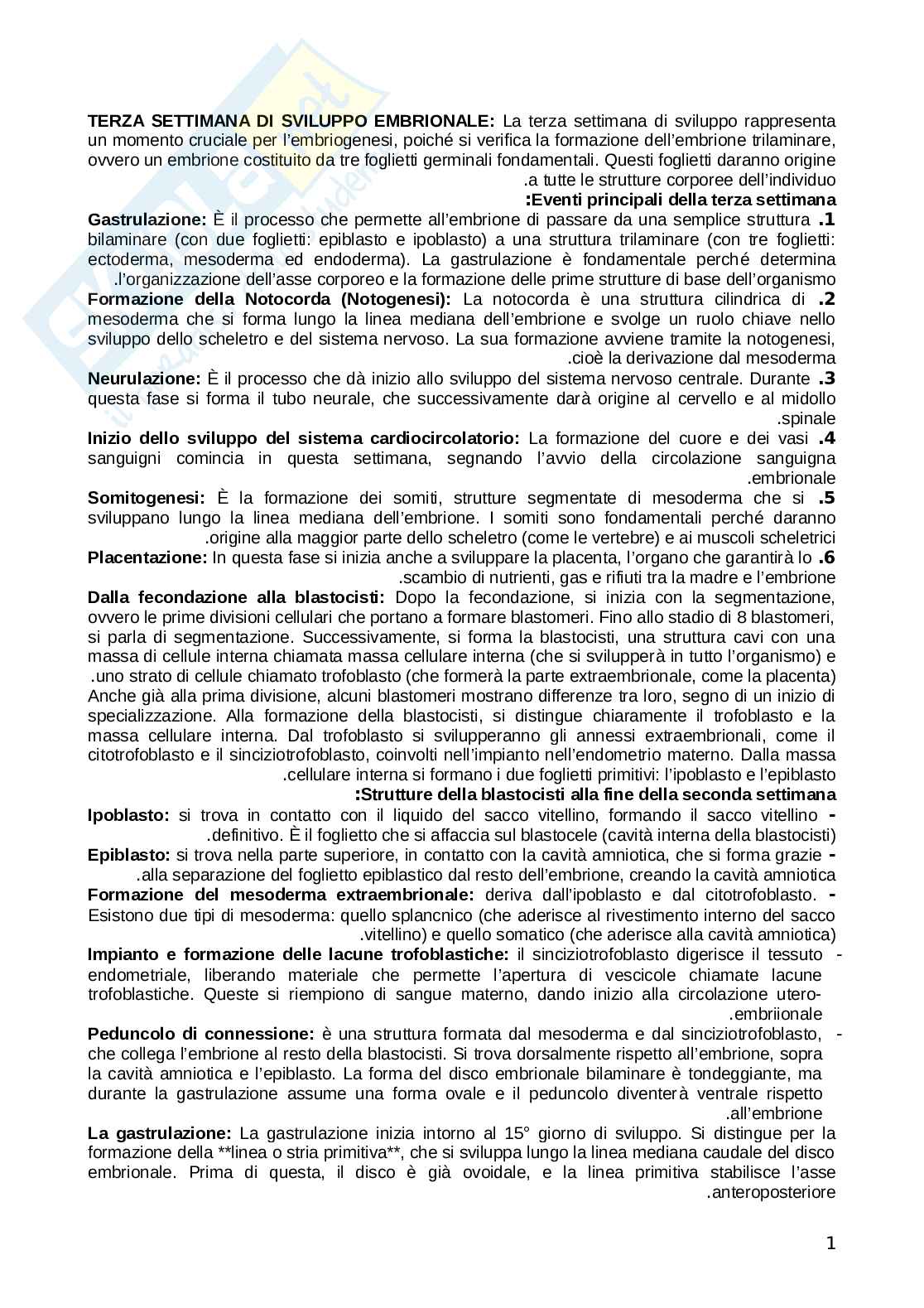 Embriologia  Pag. 1