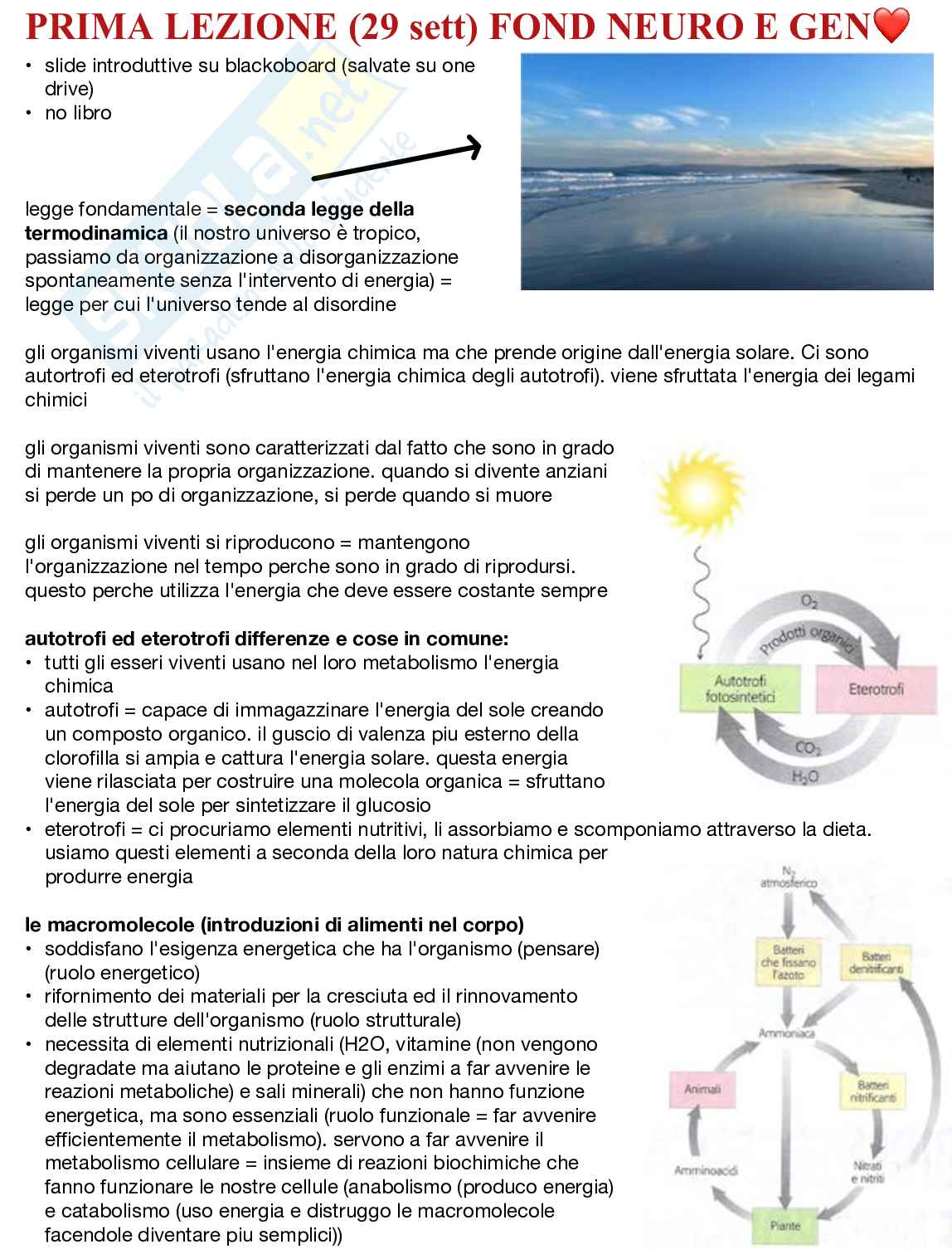 Fondamenti neurobiologici e genetici Pag. 1