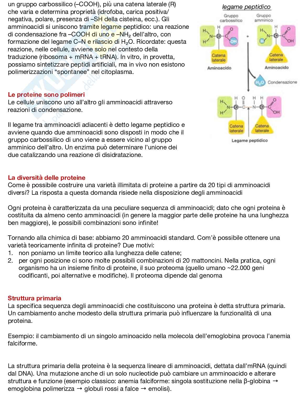 Fondamenti neurobiologici e genetici Pag. 36
