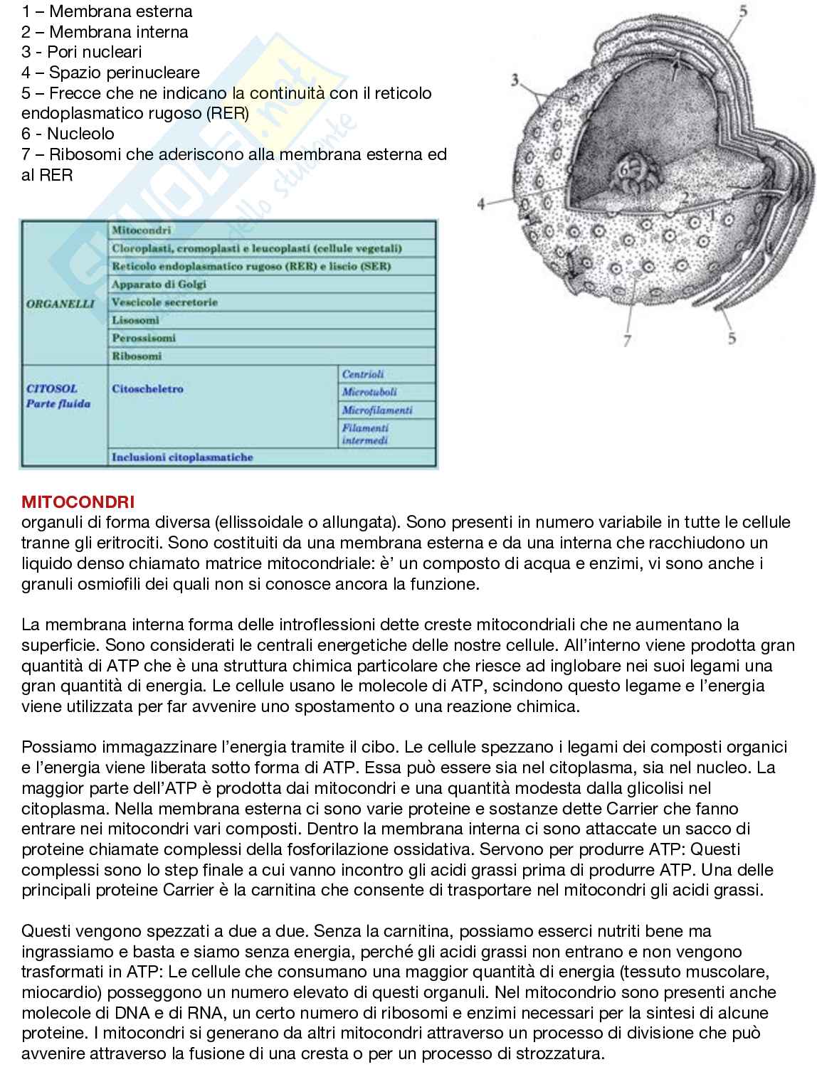 Fondamenti neurobiologici e genetici Pag. 46