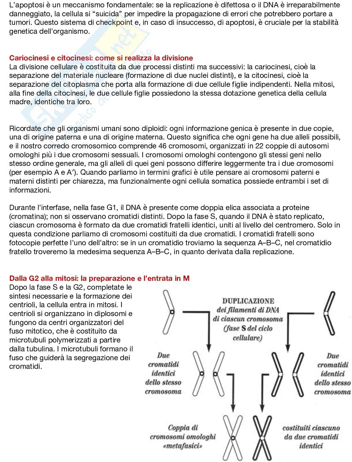 Fondamenti neurobiologici e genetici Pag. 61