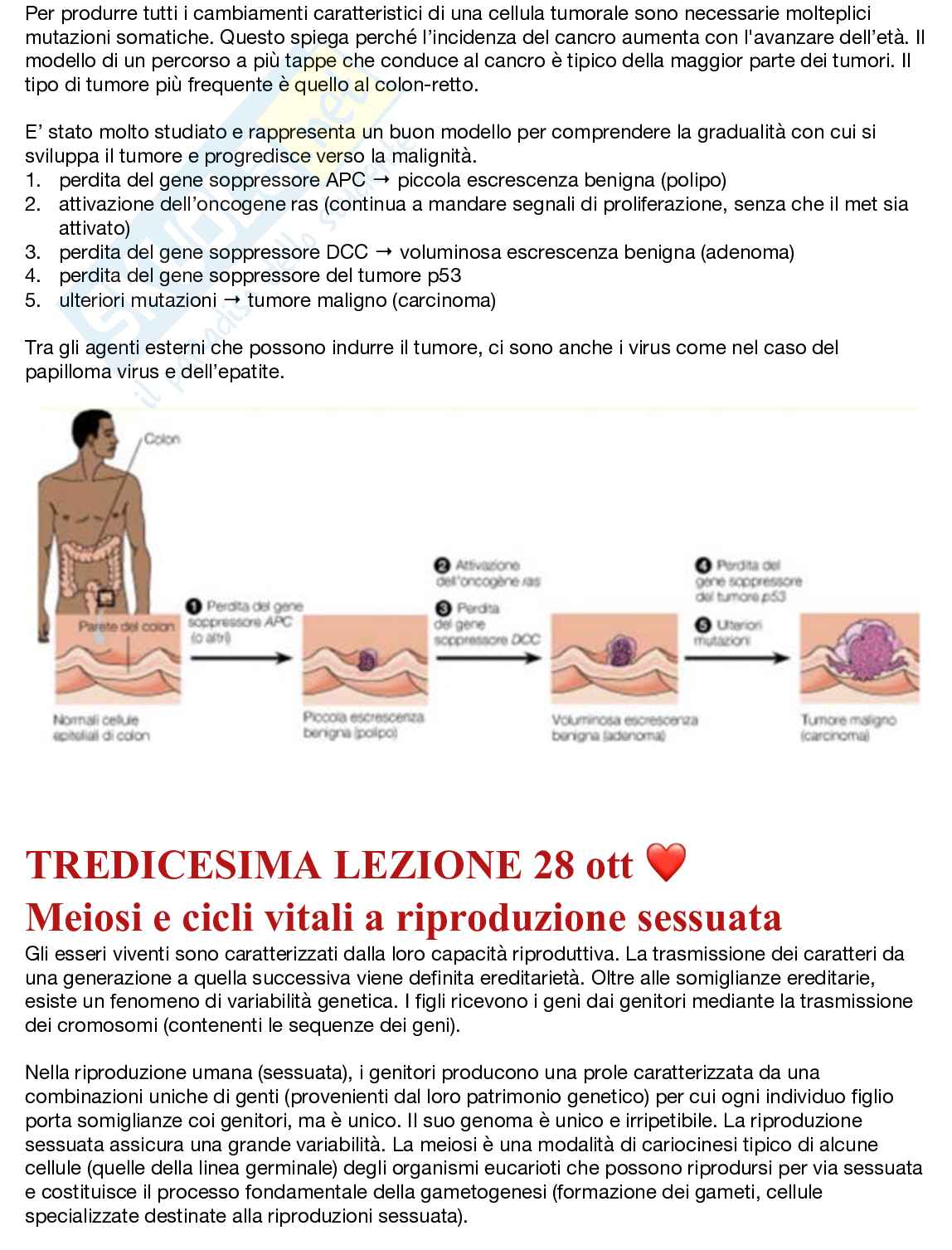 Fondamenti neurobiologici e genetici Pag. 66