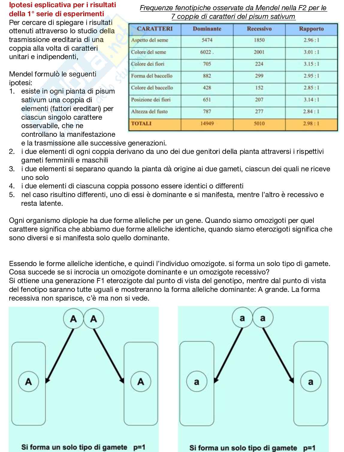 Fondamenti neurobiologici e genetici Pag. 76