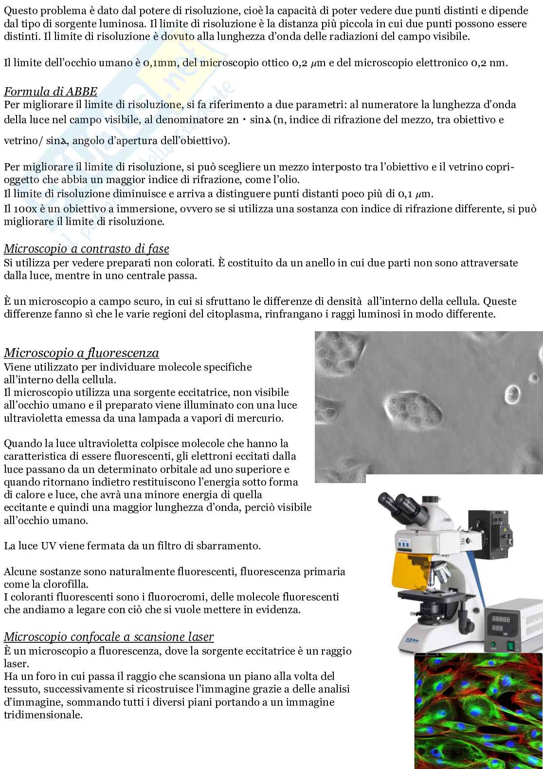 Citologia animale-studio cellula animale eucariota  Pag. 11