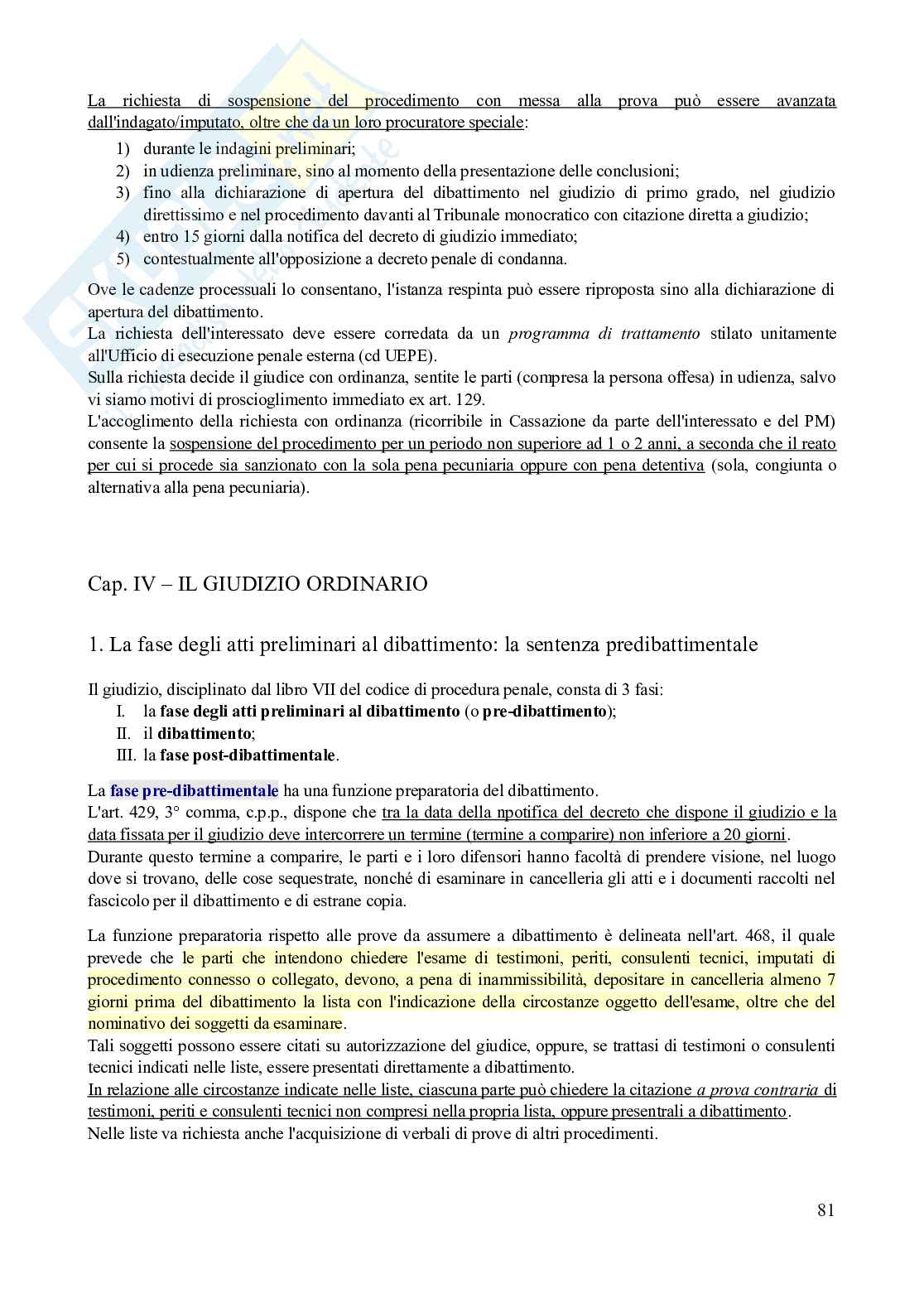 Riassunto esame Diritto processuale penale, Prof. Camaldo Lucio Bruno Cristiano, libro consigliato Lineamenti di procedura penale (13^ edizione, 2025), Lozzi Pag. 81