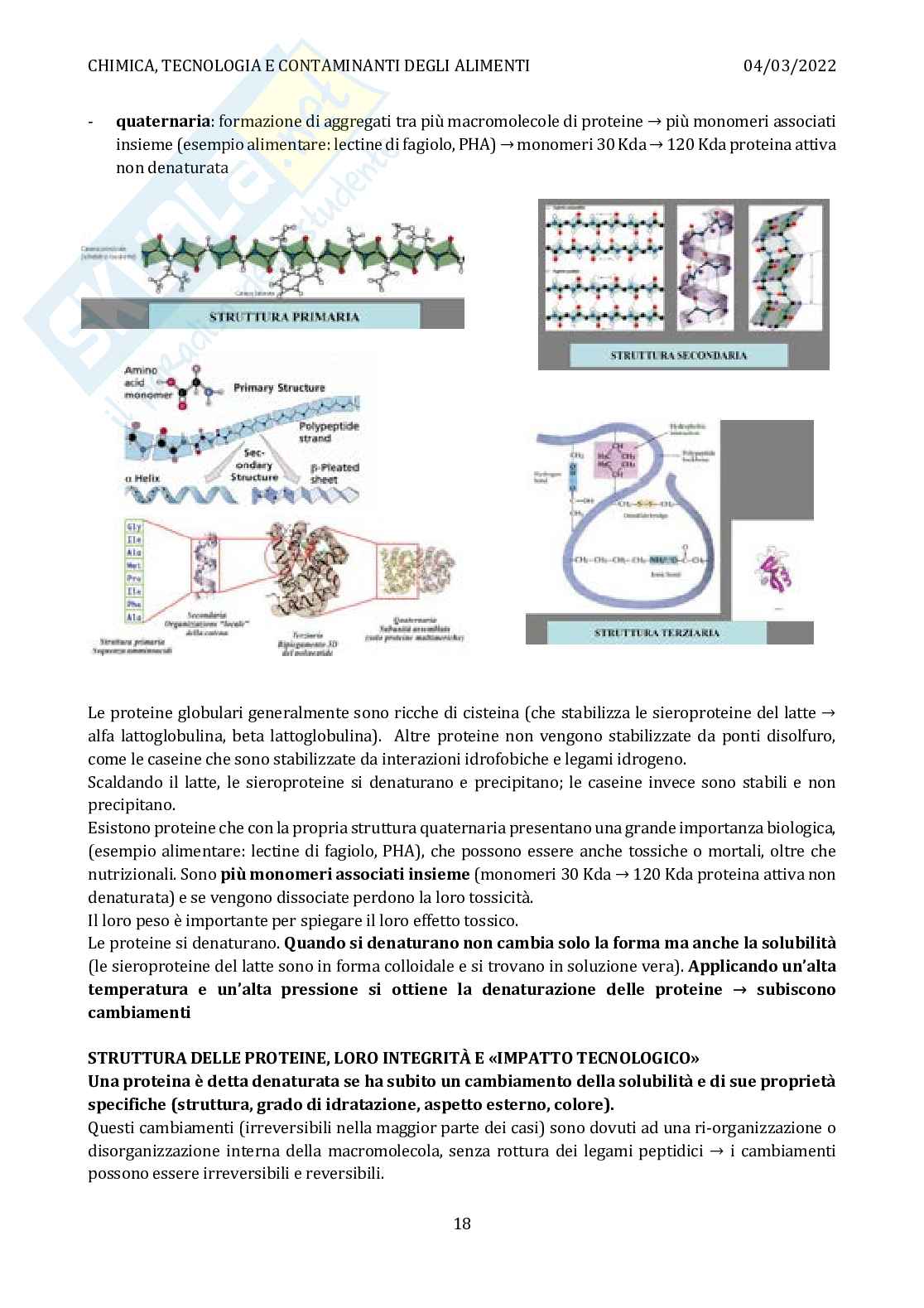 Appunti di Chimica, tecnologia e contaminanti degli alimenti Pag. 21