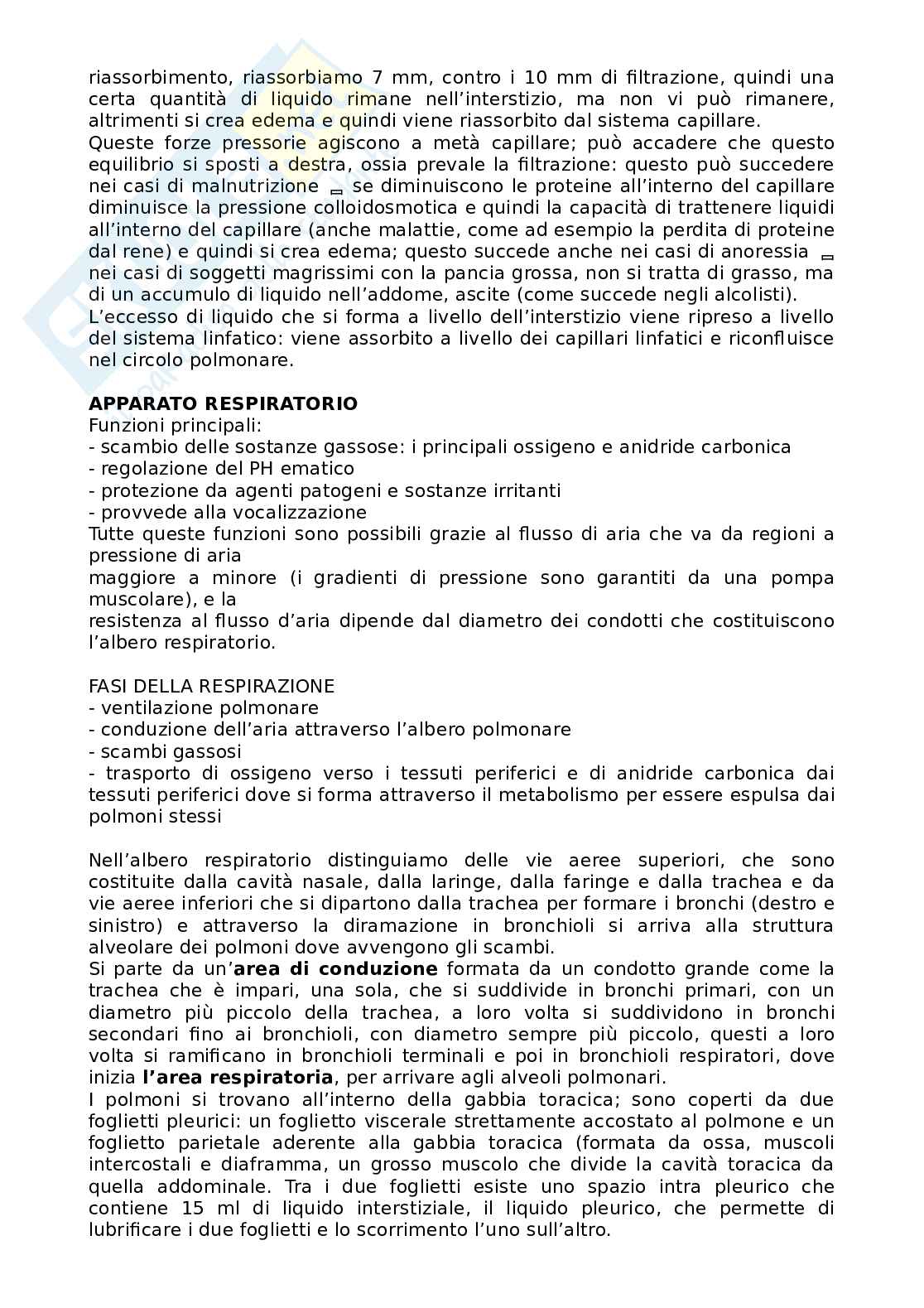 Appunti di Fisiologia dell'esercizio fisico  Pag. 66
