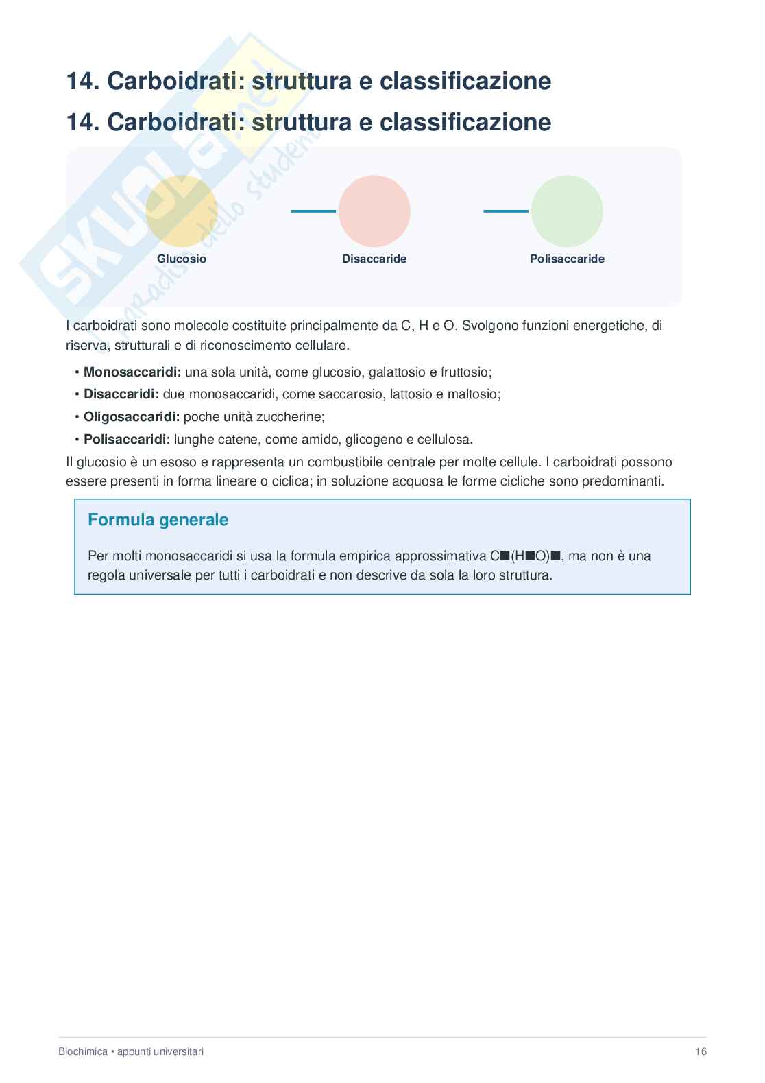 Biochimica  Pag. 16