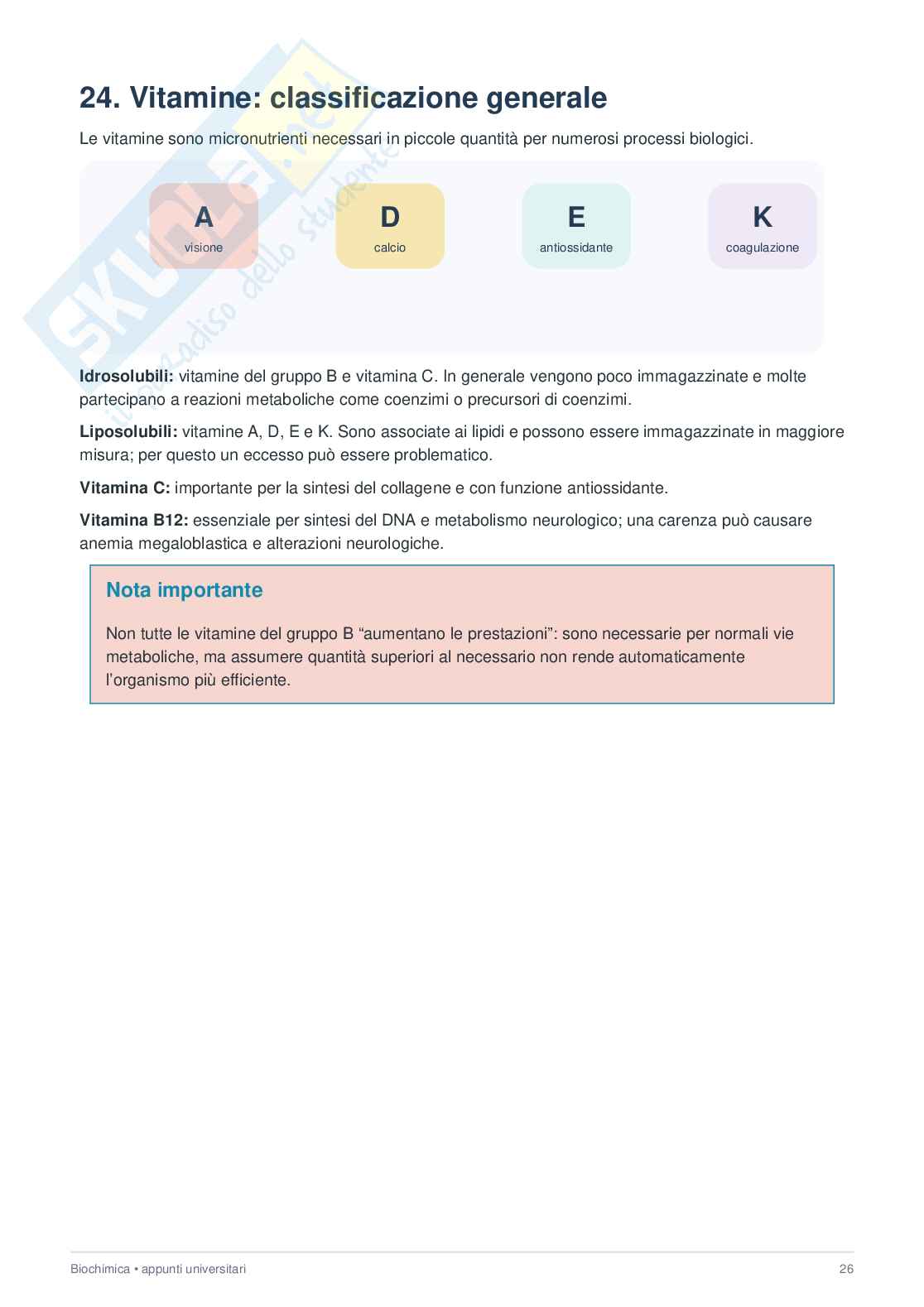 Biochimica  Pag. 26