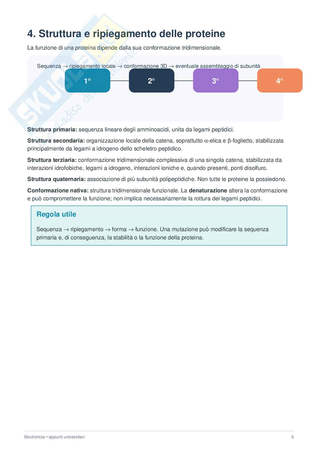 Biochimica  Pag. 6