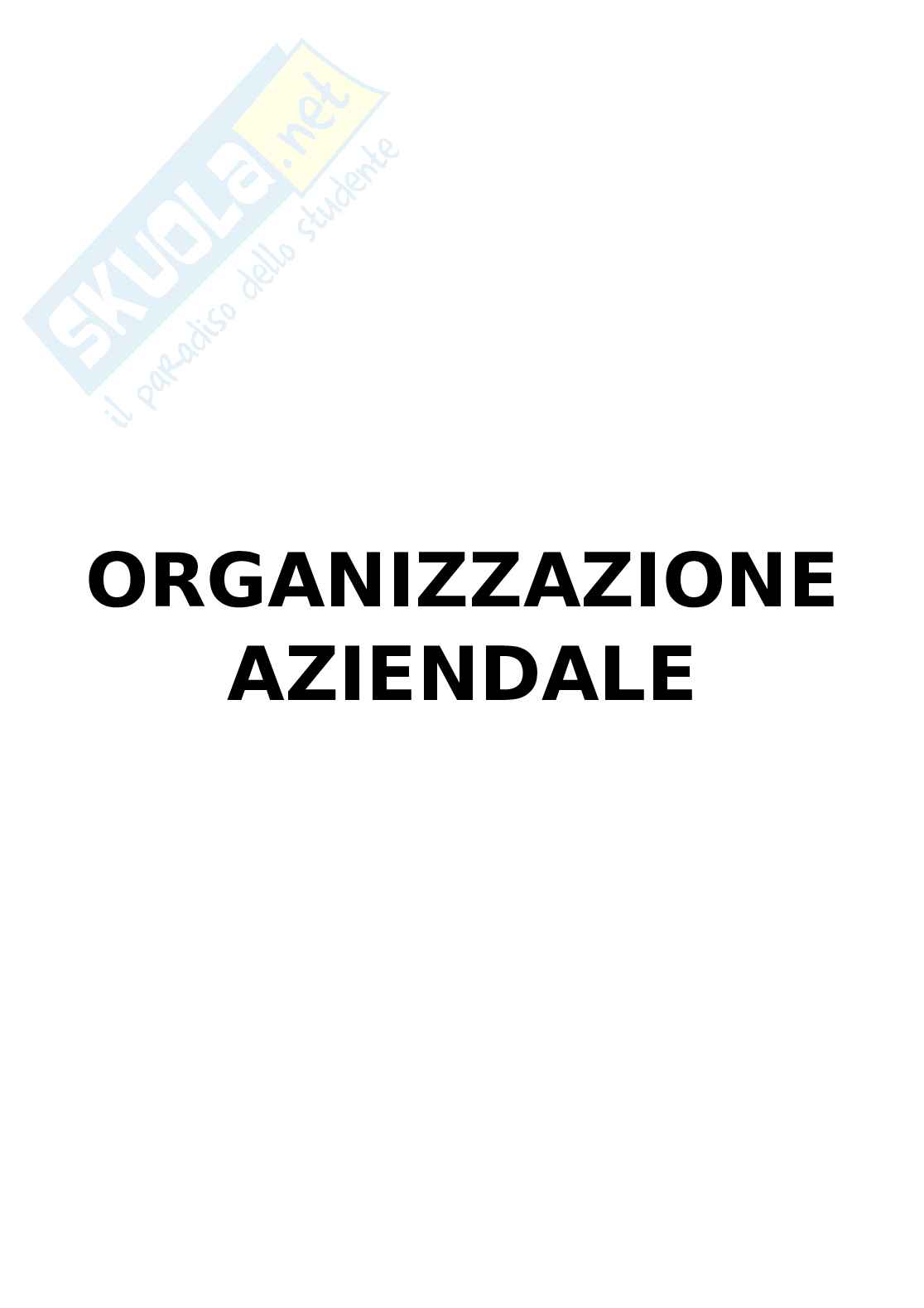 Riassunto esame Organizzazione aziendale, Prof. Morandin Gabriele, libro consigliato Organizzazione aziendale, Saverio Salvemini Pag. 1