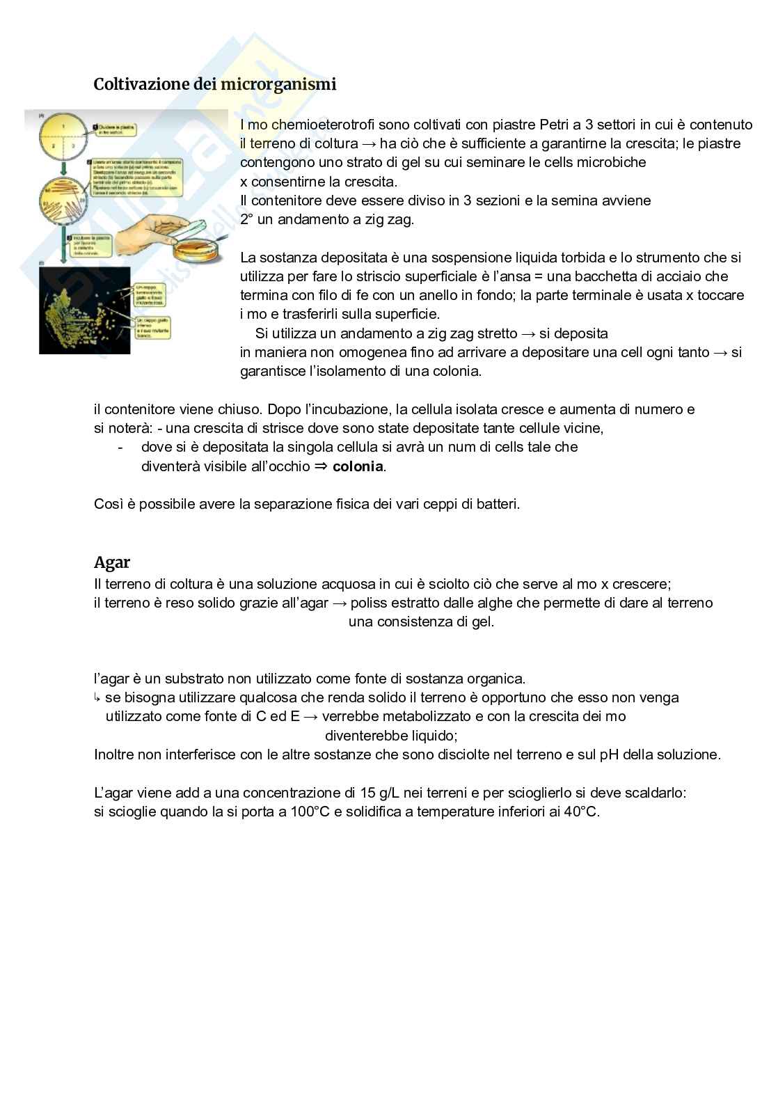 Microbiologia: sistemi di coltivazione e DNA Pag. 1