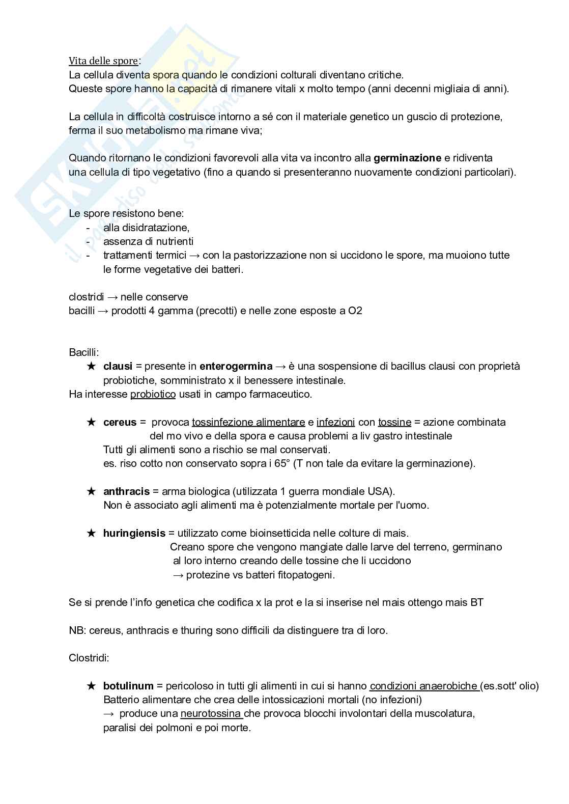 Microbiologia: sistemi di coltivazione e DNA Pag. 11