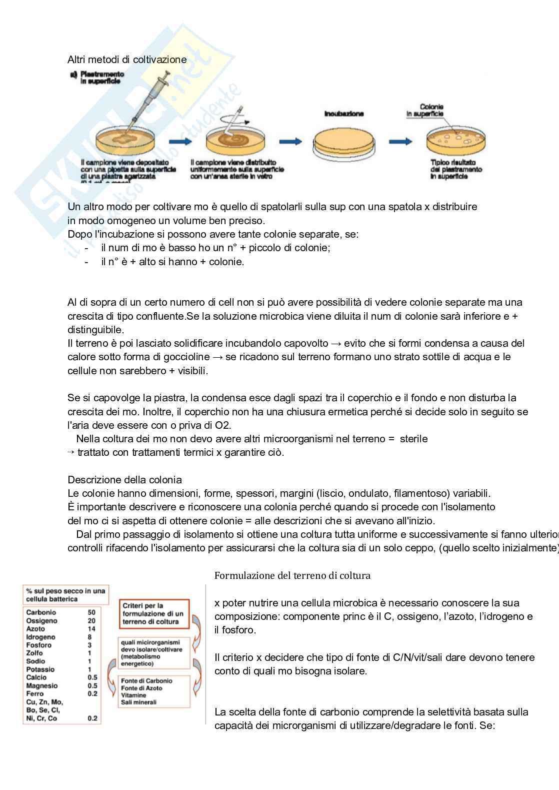 Microbiologia: sistemi di coltivazione e DNA Pag. 2