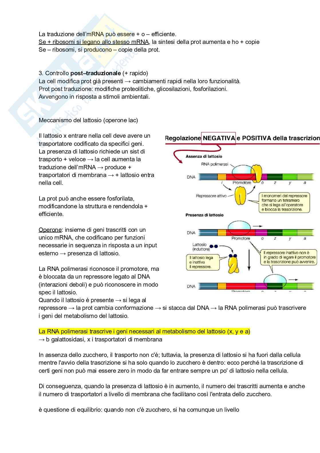 Microbiologia: sistemi di coltivazione e DNA Pag. 21