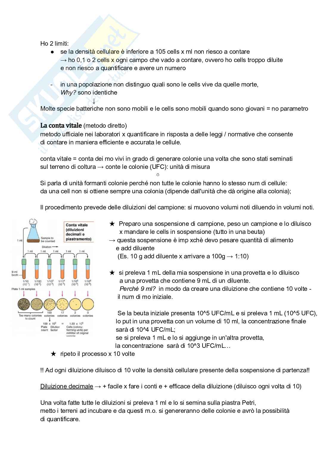Microbiologia: sistemi di coltivazione e DNA Pag. 6